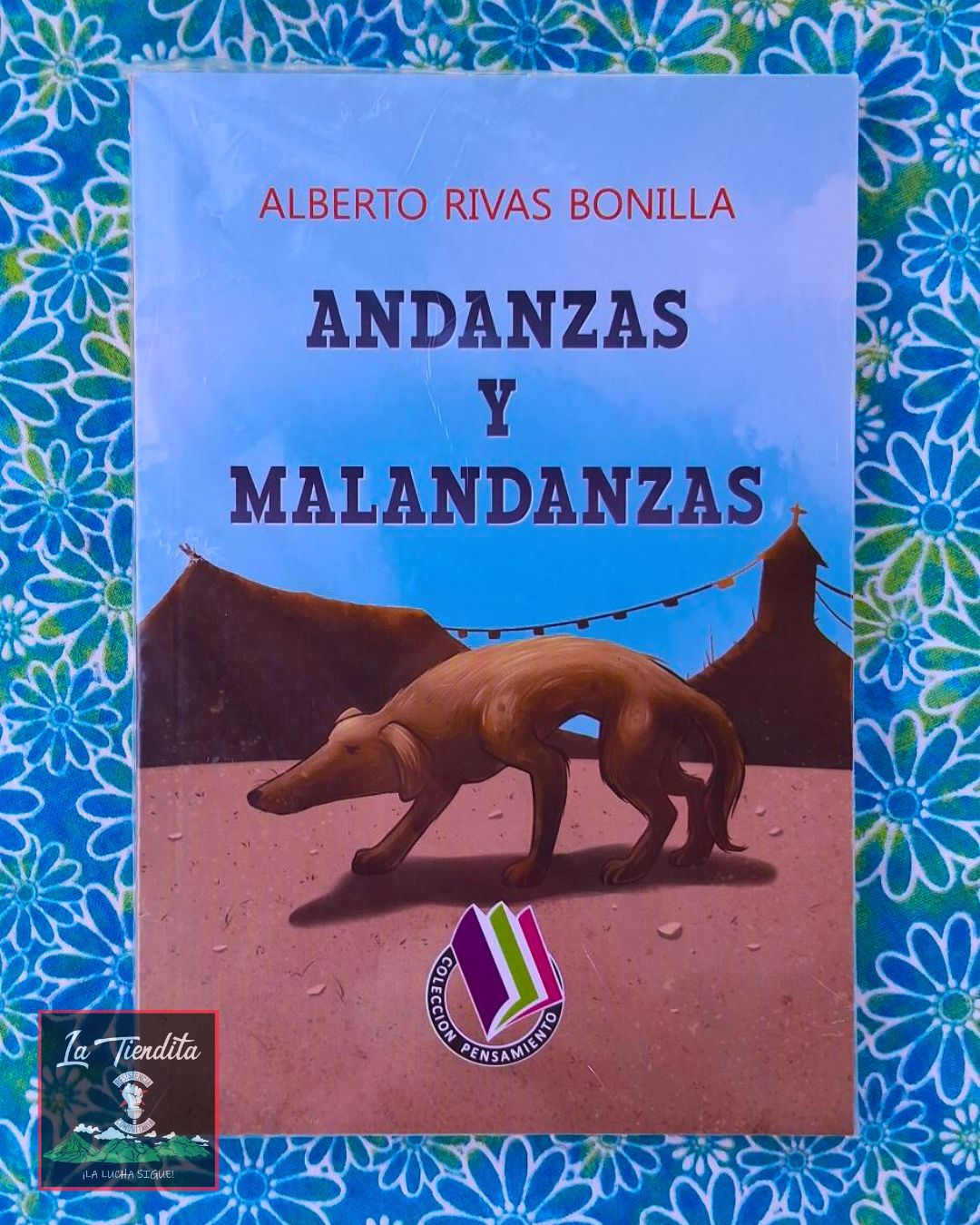 Andanzas y malandanzas por Alberto Rivas Bonilla